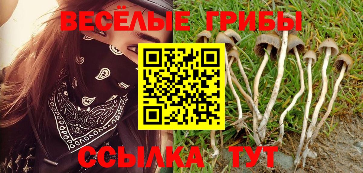 Псилоцибиновые грибы Psilocybine cubensis  Вход с VPN  Псилоцибиновые грибы GOLDEN TEACHER  как найти   Дмитров 