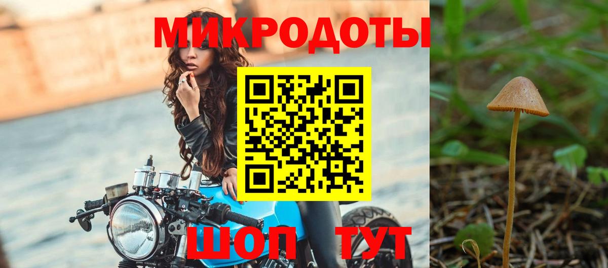 Галлюциногенные грибы MAGIC MUSHROOMS Дмитров